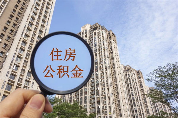 九江辞职多久公积金可以全部取出来吗（辞职之后公积金多长时间可以取）